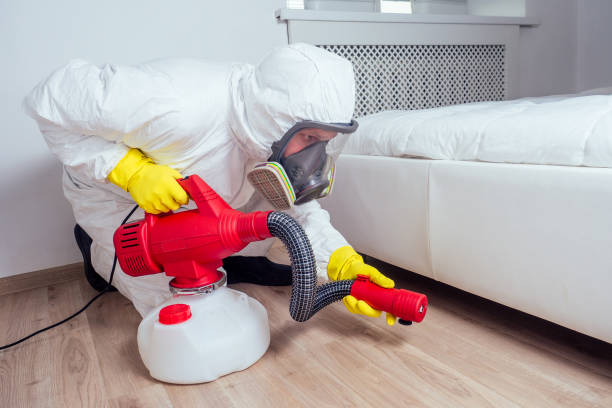 Best Best Pest Control Companies  in Sa Conejo, CA